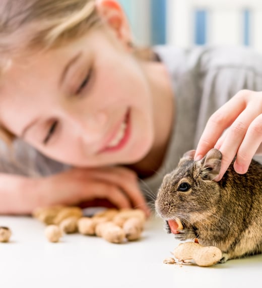 girl with gerbil