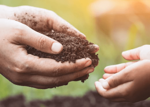 composted dirt