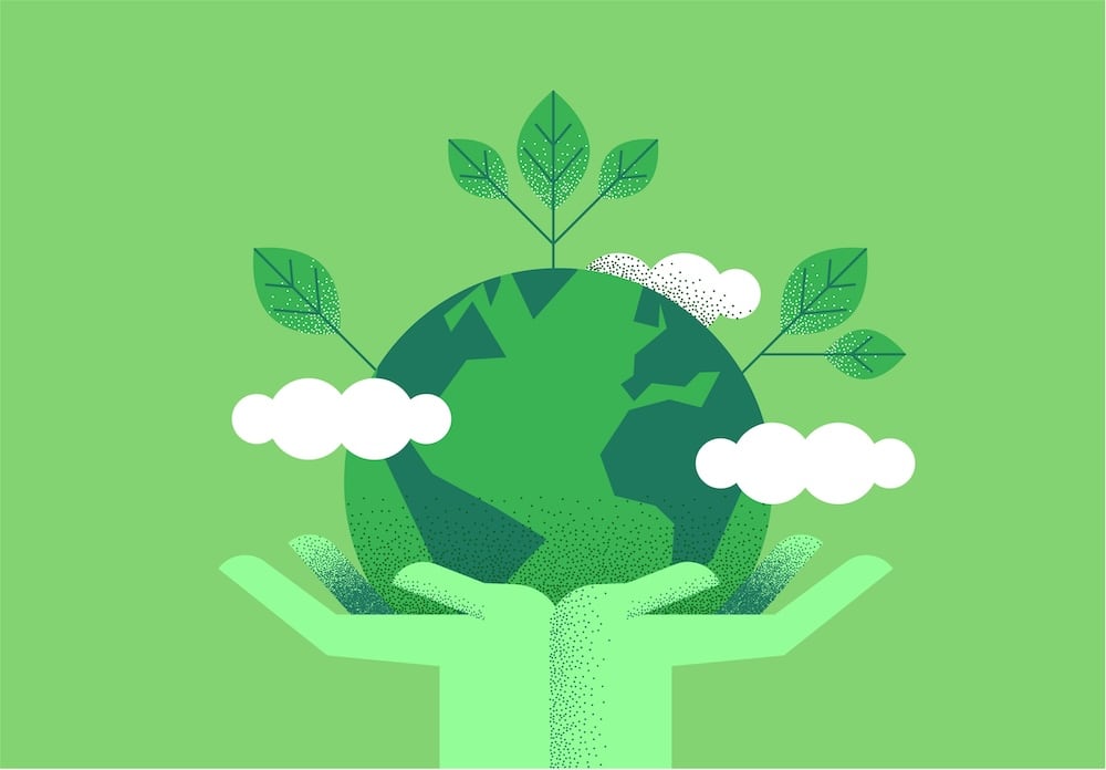 Packaging for the Planet: Make Every Day Earth Day With Sustainable Solutions