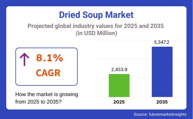 dried soup market - projected global industry values for 2025 and 2035