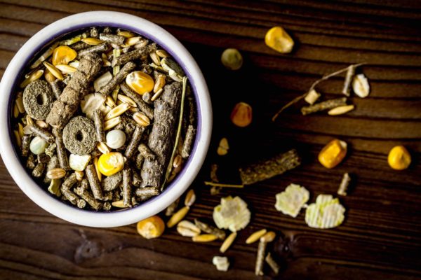 dry food for small pets in a dish